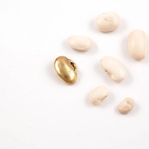 跨界藝術之旅 RCA珠寶創意思維暑期課程，釋放你的設計潛能